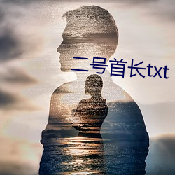 二号首长txt