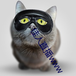 ca88手机客户端(安卓/苹果)CA88会员登录入口