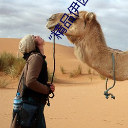 “精(jīng)品伊园甸(diān)2024入口(kǒu)直达”:打(dǎ)造您的(de)完(wán)美(měi)旅游(yóu)体验