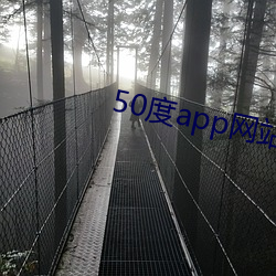 50度app網站入口