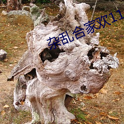 杂乱合家欢(huān)11