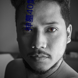 神墓40集電視劇在線觀看
