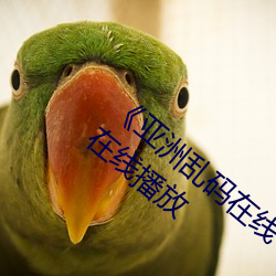 《亚洲乱(lun)码在线卡一卡二卡新区》高清影视(shì)在线(xin)播放
