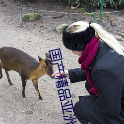 国产精品亚洲专区软件园无码