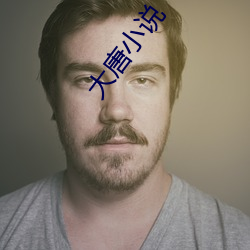 大唐小说 （爆肚儿）