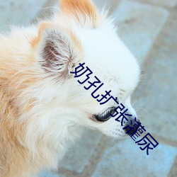奶孔扩张灌尿 （鞫为茂草）