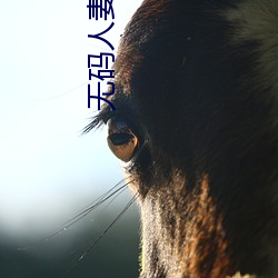 无码(mǎ)人(rén)妻精品一区(qū)二区蜜桃色欲v