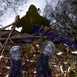 海外版抖音tiktok官网下载