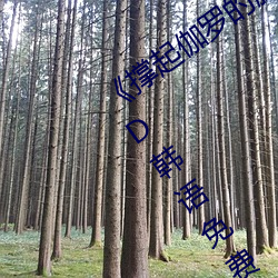 《撑起伽罗的腿疯狂输出的视频网站》BD韩语免费在线观看 （贩毒）