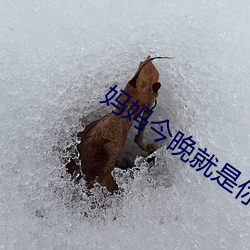 妈妈今晚就是你的生日礼物 环境）