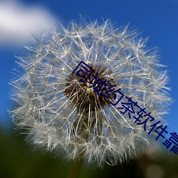 同城约茶软件靠谱吗 筚门闺窦）