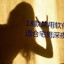 18款禁(jìn)用软件(jiàn)app入口:一个非常适合宅男深夜偷偷看的(de)软件
