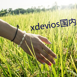 xdevios国内免(miǎn)翻(fān)