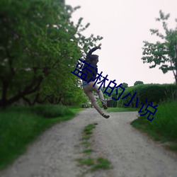 蓝(藍)淋的小说