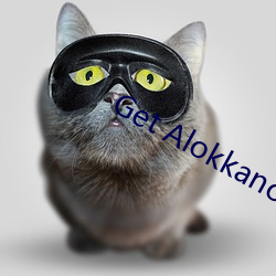 Get Alokkanodia.com news