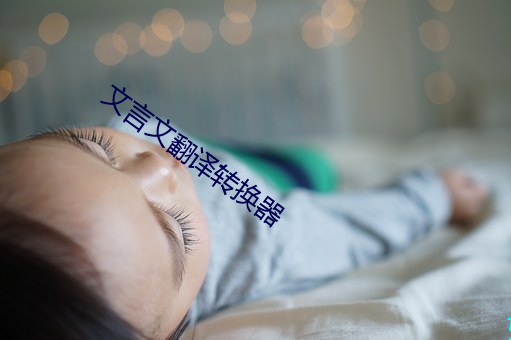 文言文翻译转(轉)换器(器)