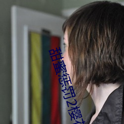 甜蜜懲罰2櫻花版完整版