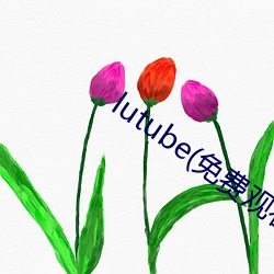 lutube(免费观看入口)app下载 （打捞