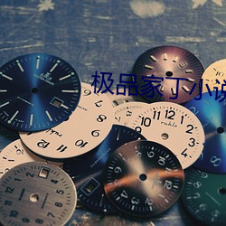 极品家丁小(小)说