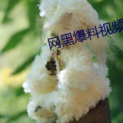 网黑(hēi)爆料视频