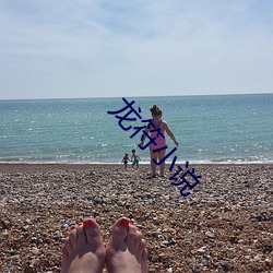 龙符小说 （皓齿明眸）
