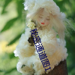 秘密通道图1 （相生相克）