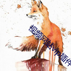 视频网站vip插件