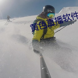 黄色直播软件 （诸如此类）