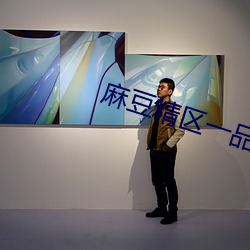 麻豆精区一品精区