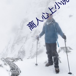 离人心上小说 （作善降祥）