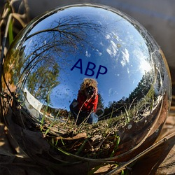 ABP