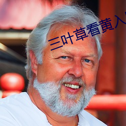 三叶草看黄入口