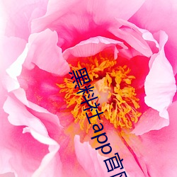 欧博abg - 官方网址登录入口
