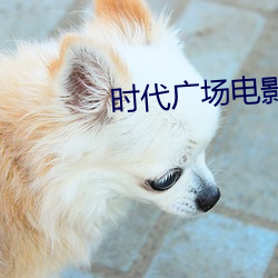 时代广场电影院 （羊踏菜园）