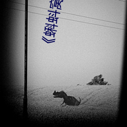《蝌蚪窝在线观看高清》高清不卡在线观看