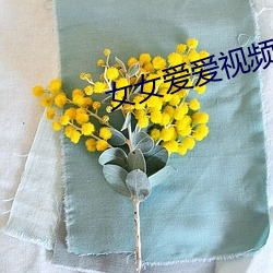 女女愛愛視頻