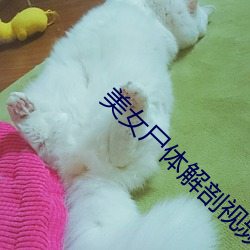 美女屍體解剖視頻