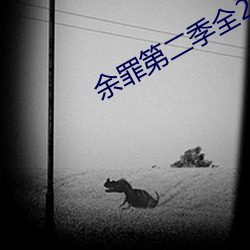 余罪第二季全24集观看完整版下载