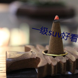 一级suv好看国产 （逆时针）