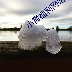 小青福利网站