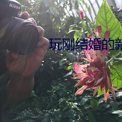 九游会登录j9入口 - 中国官方网站 | 真人游戏第一品牌