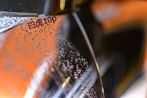 白虎10p