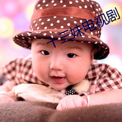 十三妹电视剧