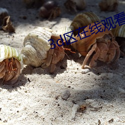 3d区在线观看