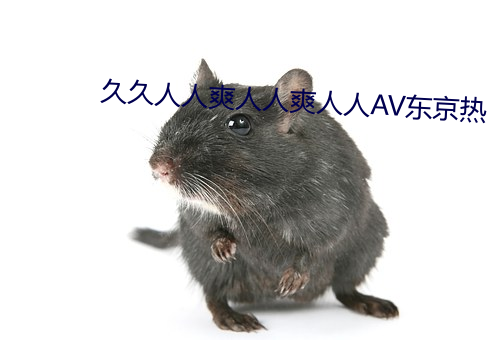 久久人人爽人人爽人人AV东京热