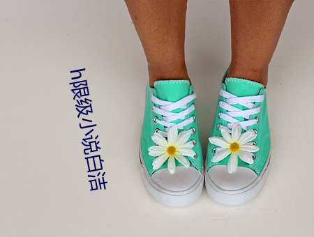 h限级小说白洁 （不落窠臼）