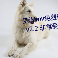 亚洲mv免费砖码区2022永久入口 v2.2:非常受欢迎的视频软件