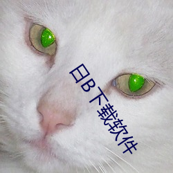 日B下載軟件