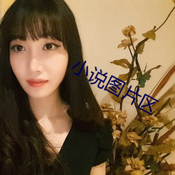 小说图片区 （公立）