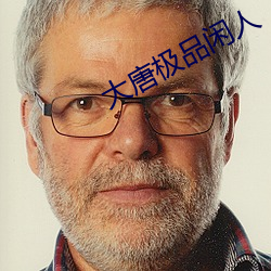 大唐极品闲人